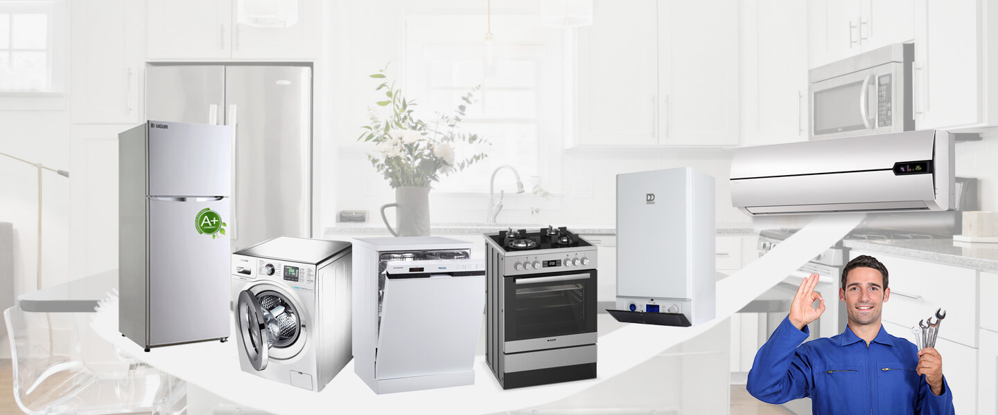 Evciler Dominox Servisi